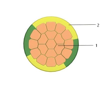 H07V-R cable construction